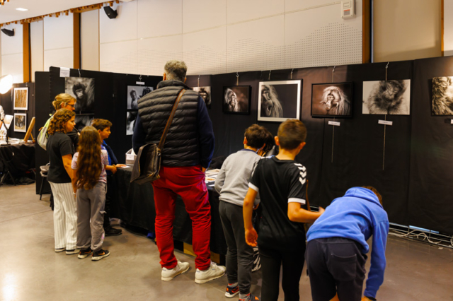 Les scolaires sur le stand de Patrice et Véronique Quillard